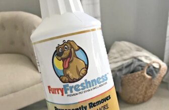The BEST Pet Stain Remover {For Anything Animal-Related} | Thrifty Decor Chick