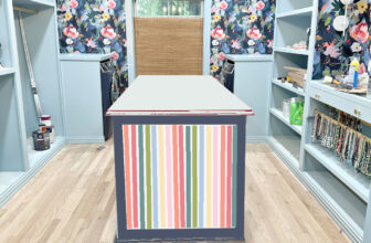 Walk-In Closet Progress, An Apology, and A Maniac