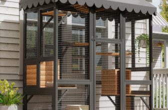 And Now I’m Planning A Catio